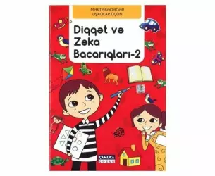 Diqqət və zəka bacarıqları -2 | Everest