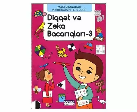 Diqqət və zəka bacarıqları -3 | Everest